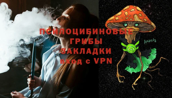 соль курить ск Инсар